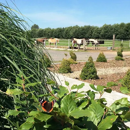 Texas Mv 3* Kirch Jesar