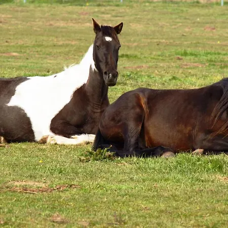 Texas Mv 3* Kirch Jesar